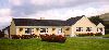 Wayside B&B,
Gap of Dunloe,
Killarney, 
Co. Kerry<
Ireland.