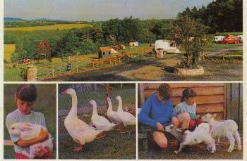Nore Valley Park, 
Caravan and Camping Accommodation, 
Bennettsbridge, 
Co. Kilkenny,
Irland..