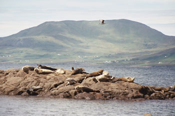 Bertra Beach,
Westport,
Co. Mayo,
Ireland